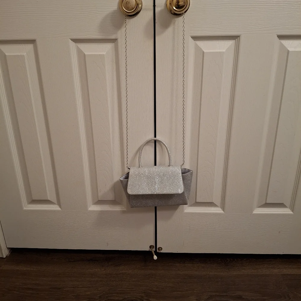 Silver Purse - Picture 1 of 4